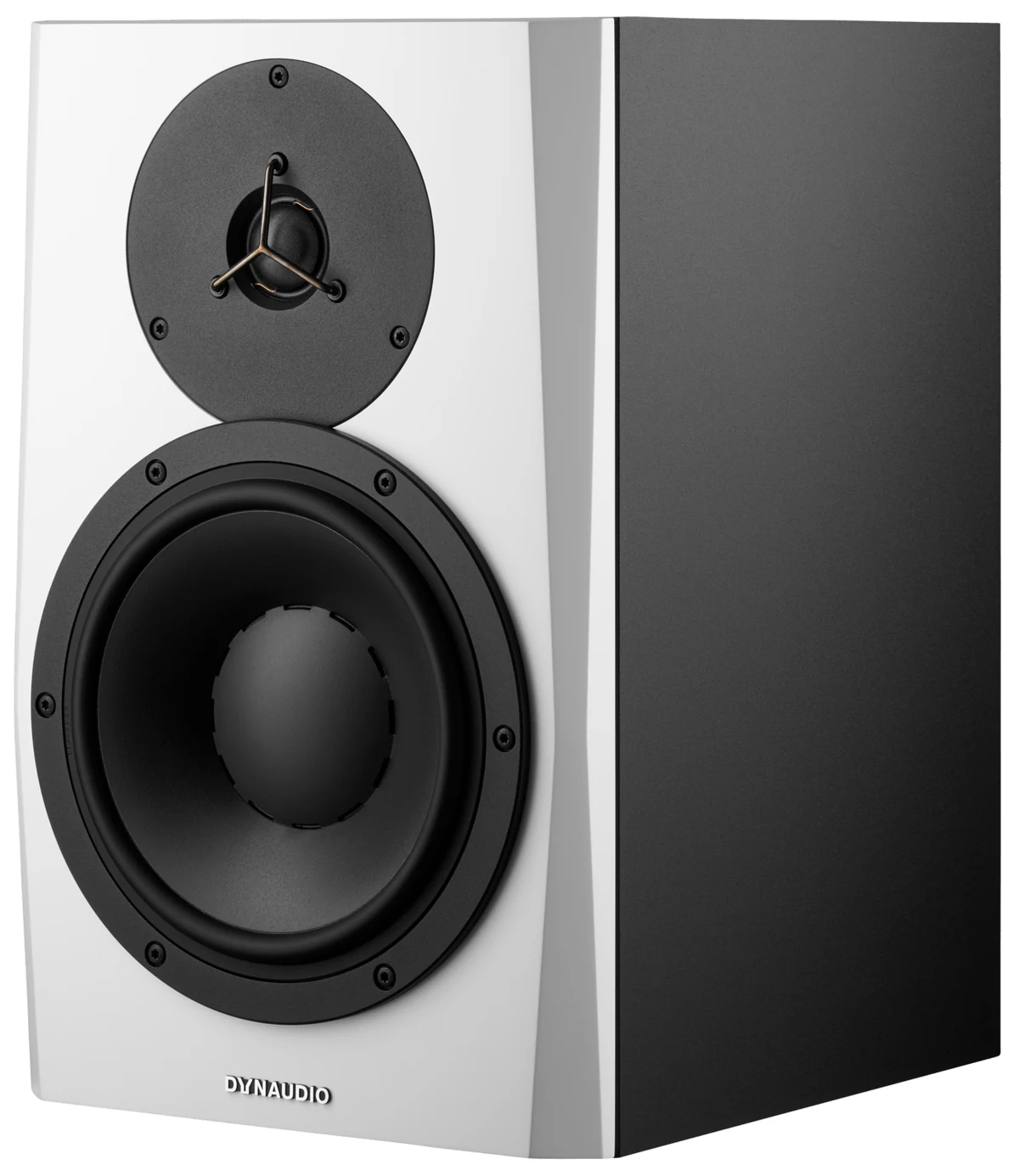 Loa kiểm âm Dynaudio LYD 8 - hình 5